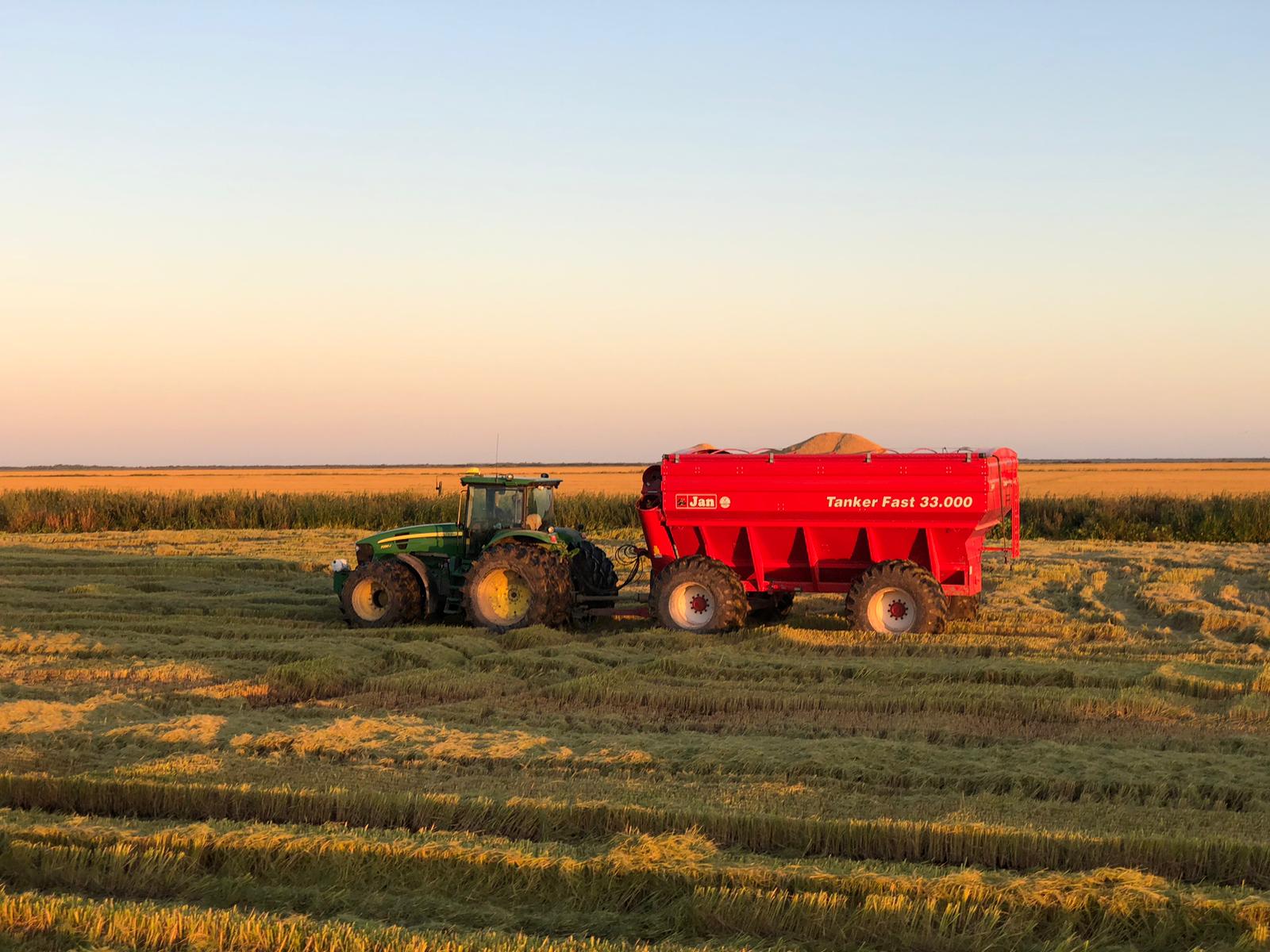 tolva a campo con arroz