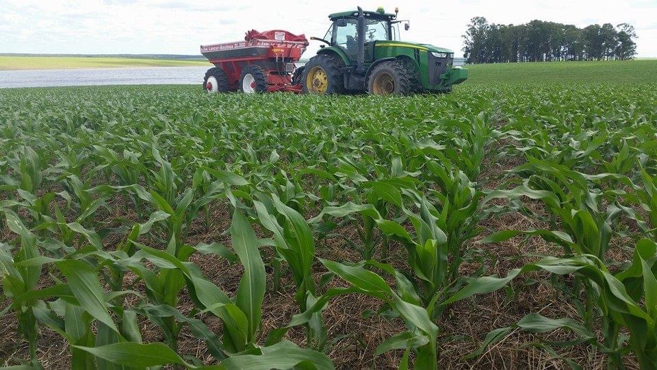 equipo aplicando urea en maíz con precisión